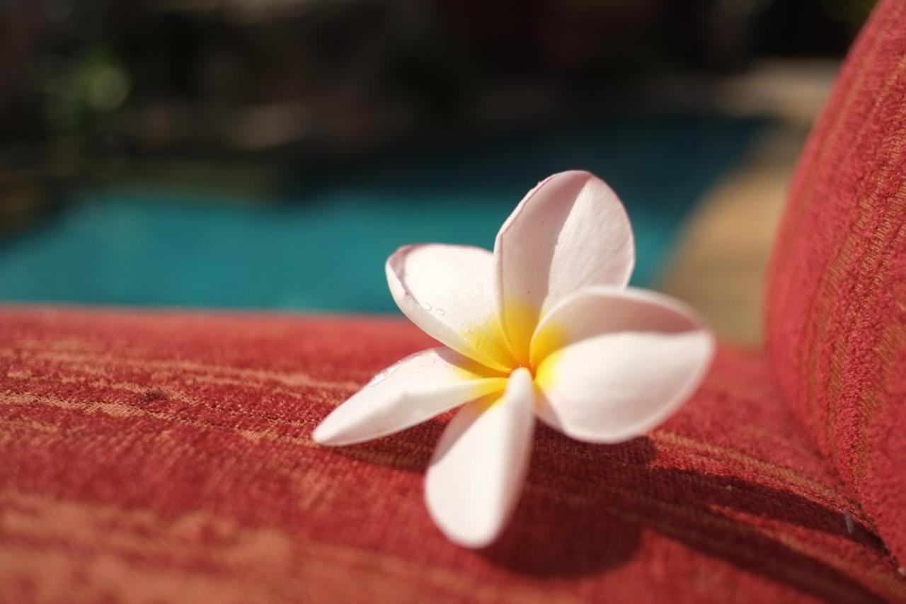 พระตำหนักวิลล่า 10 ห้องนอน พร้อมสระว่ายน้ำส่วนตัว Pattaya Extérieur photo